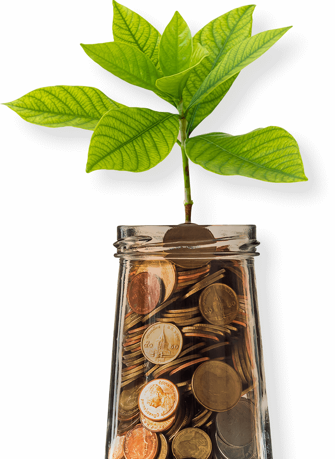 money-tree